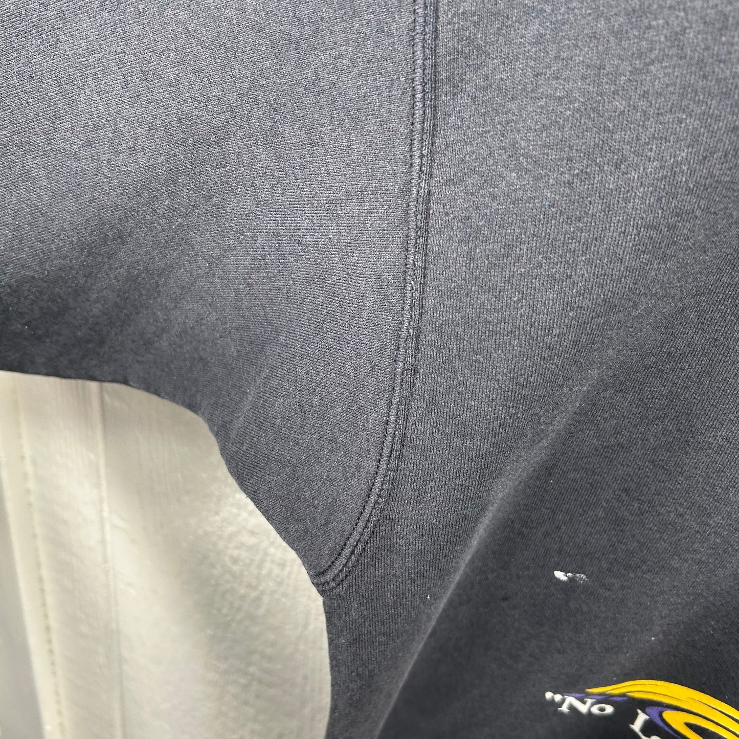 Vintage 90's Mountaineers "No Longer In Anyone's Shadow" Crewneck (XL)