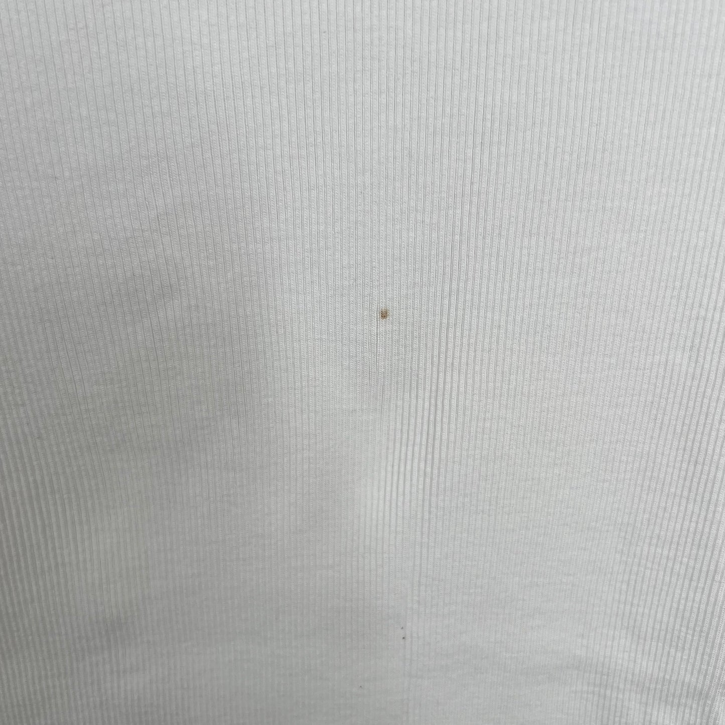 Vintage Polo Baby Tee (L)