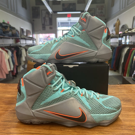 Size 10.5 - LeBron 12 NSRL