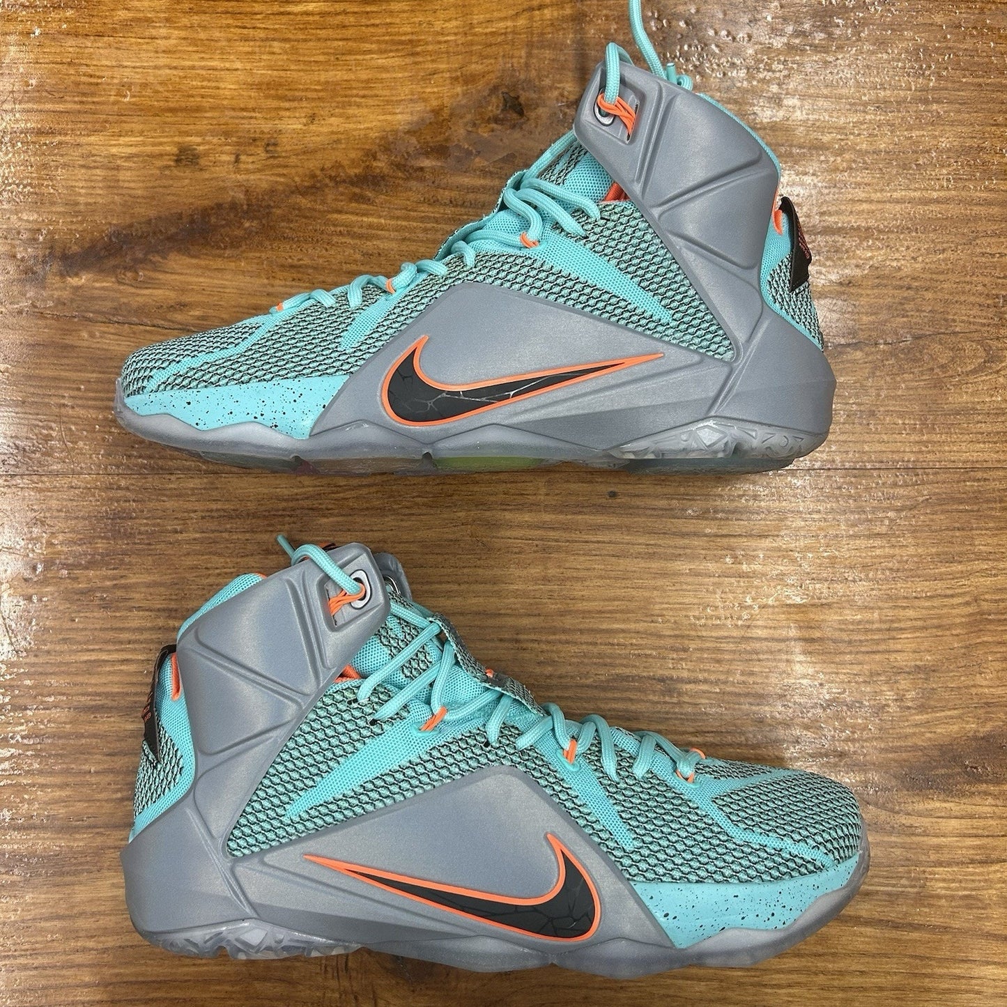 Size 10.5 - LeBron 12 NSRL