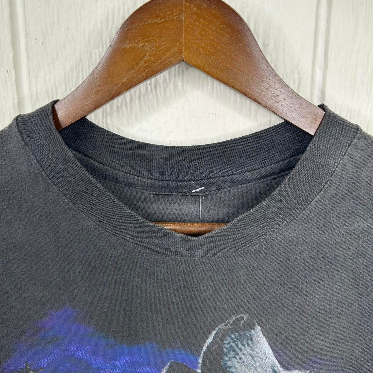 Vintage 90’s Harley Davidson Wolf Nature Graphic Tee (L)