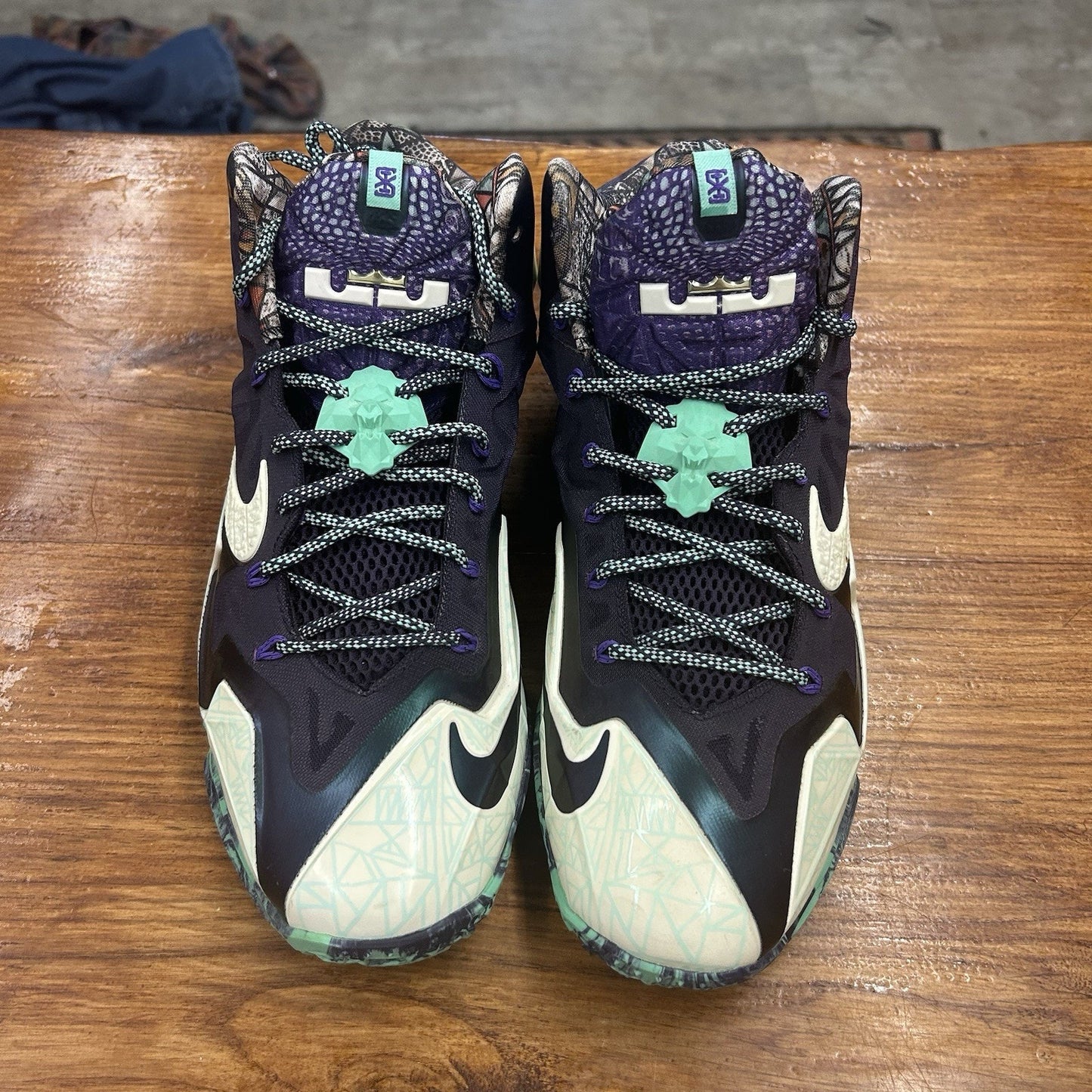 Size 10.5 - Nike LeBron 11 Gator King