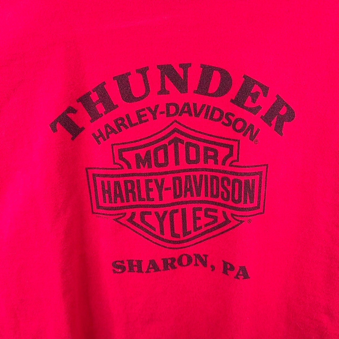 Y2K Red Harley Davidson Skull Biker Tee (XXL)