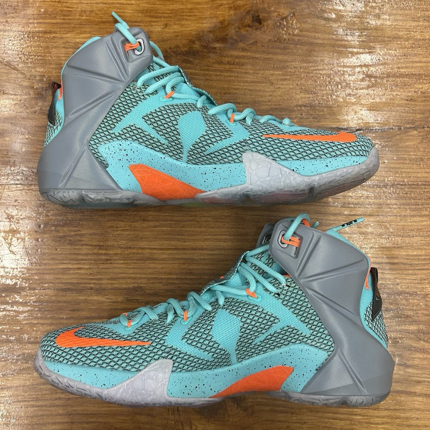 Size 10.5 - LeBron 12 NSRL