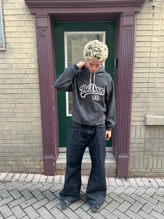Y2K Embroidered Big Dog Sportswear Baggy Hoodie (M)