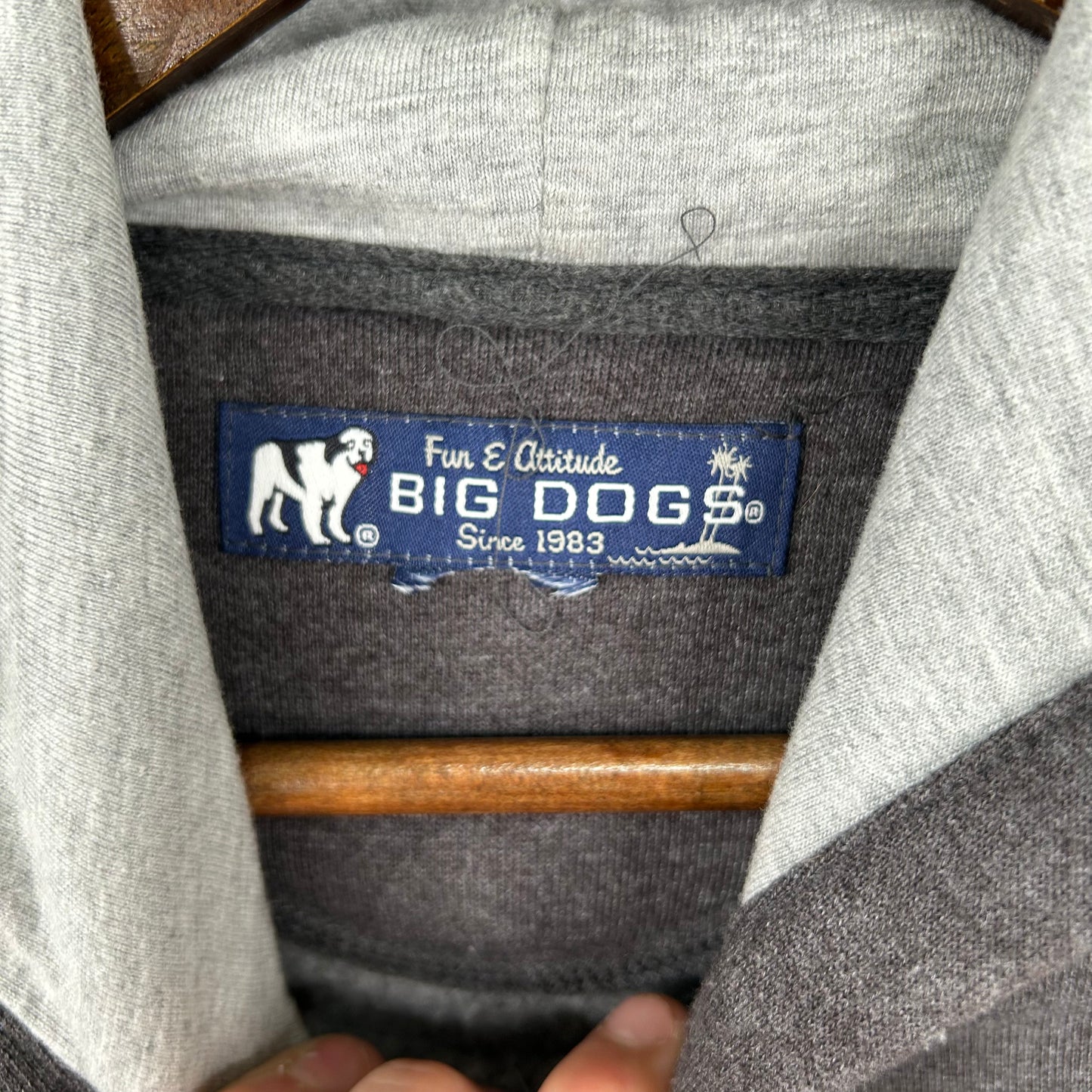 Y2K Embroidered Big Dog Sportswear Baggy Hoodie (M)