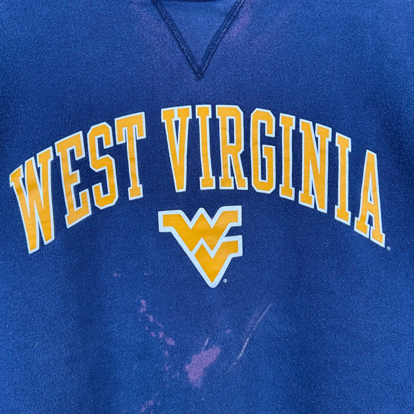 Y2K Faded West Virginia Graphic Crewneck (M)