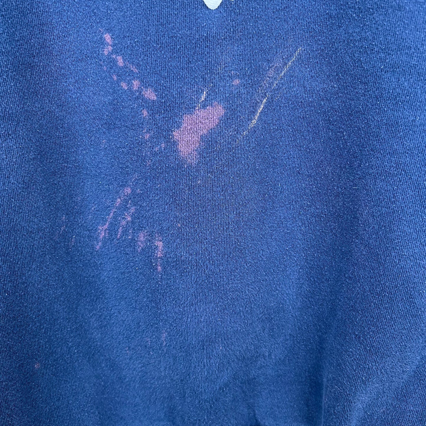 Y2K Faded West Virginia Graphic Crewneck (M)