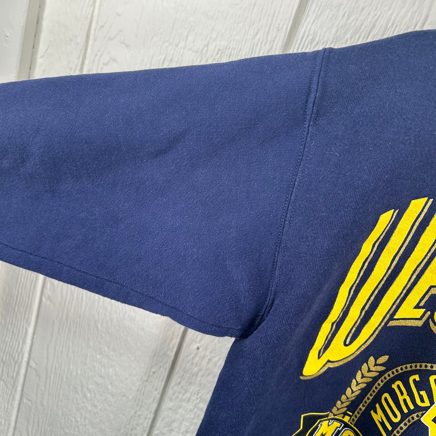 Vintage 80's West Virginia Mountaineers Crewneck (M)