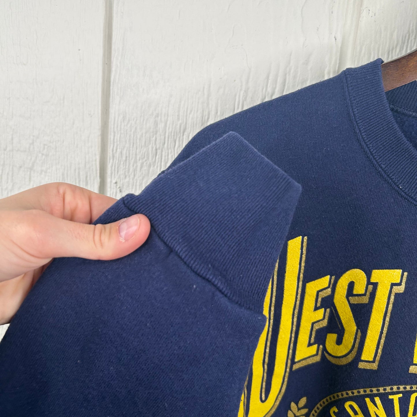Vintage 80's West Virginia Mountaineers Crewneck (M)