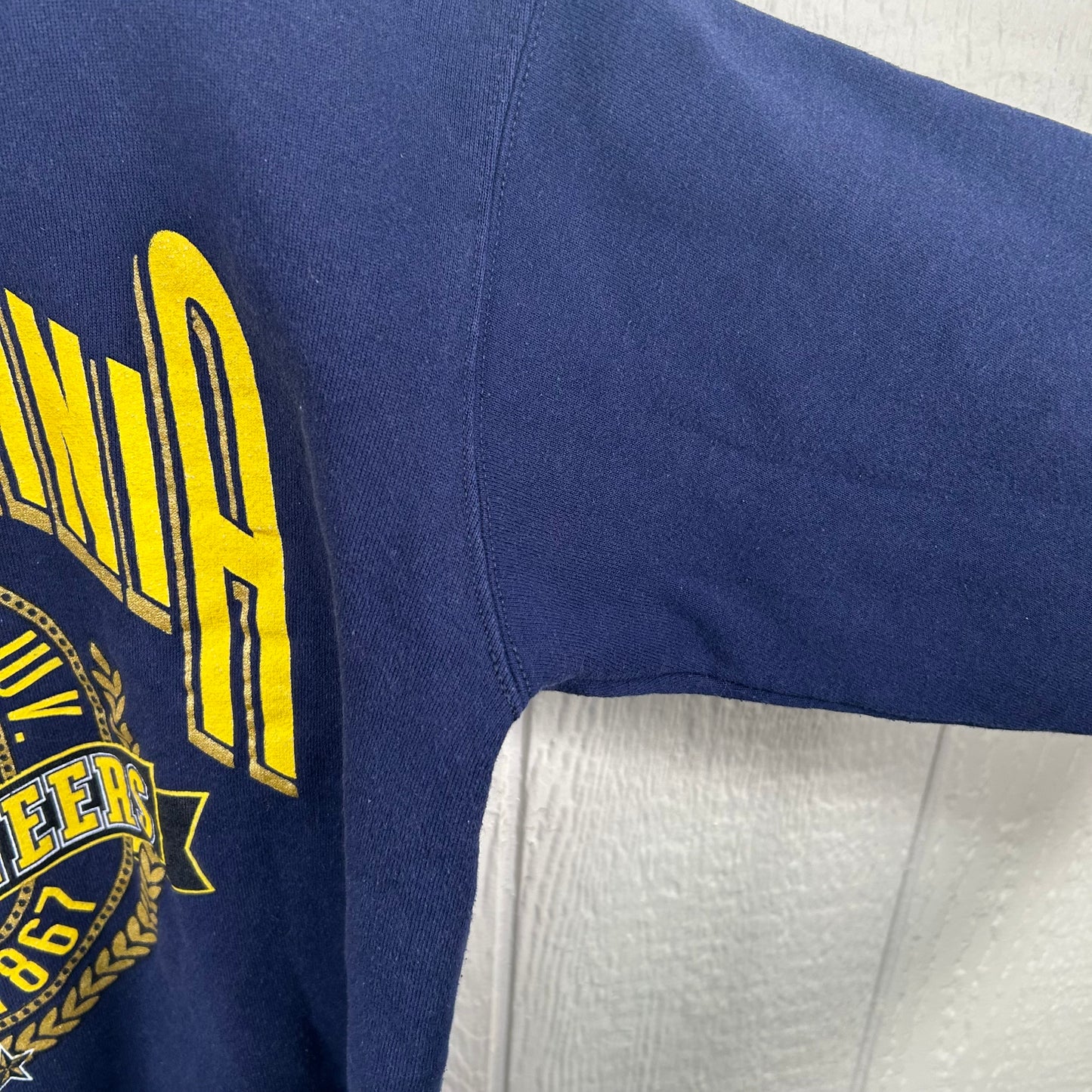 Vintage 80's West Virginia Mountaineers Crewneck (M)