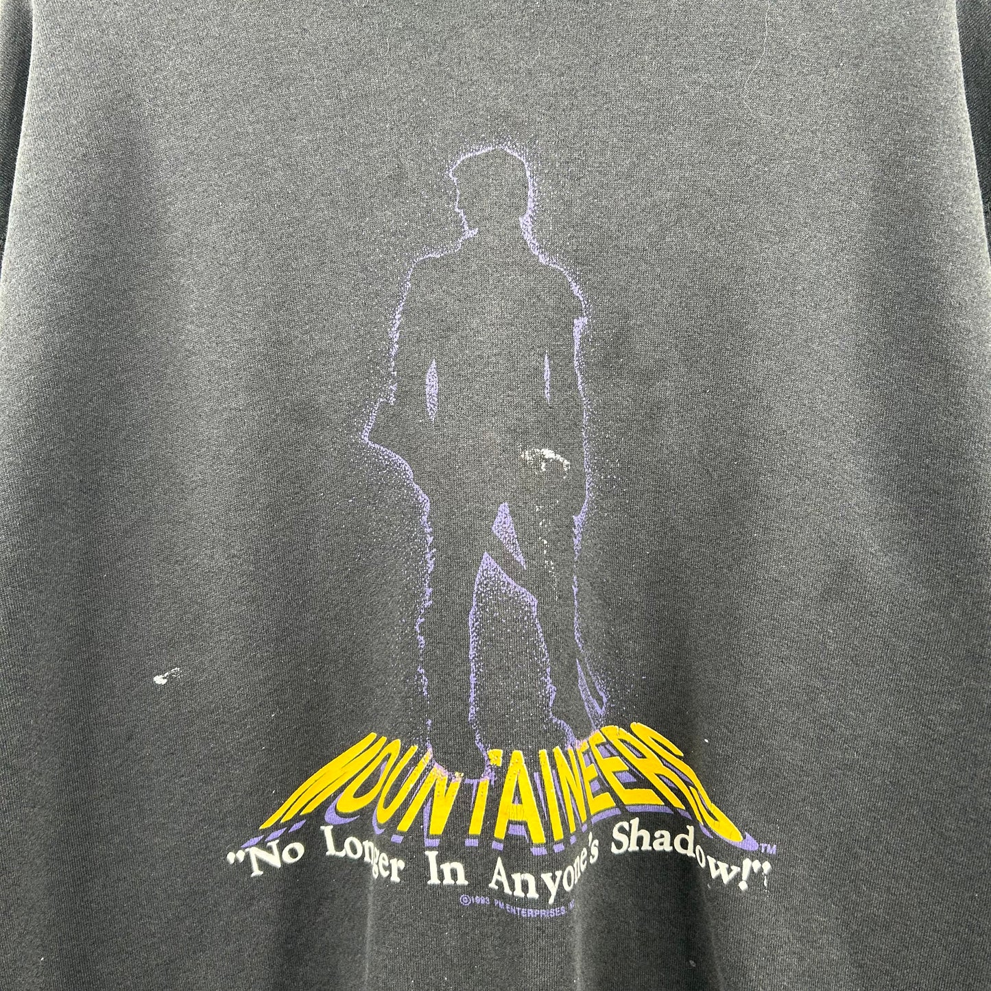 Vintage 90's Mountaineers "No Longer In Anyone's Shadow" Crewneck (XL)