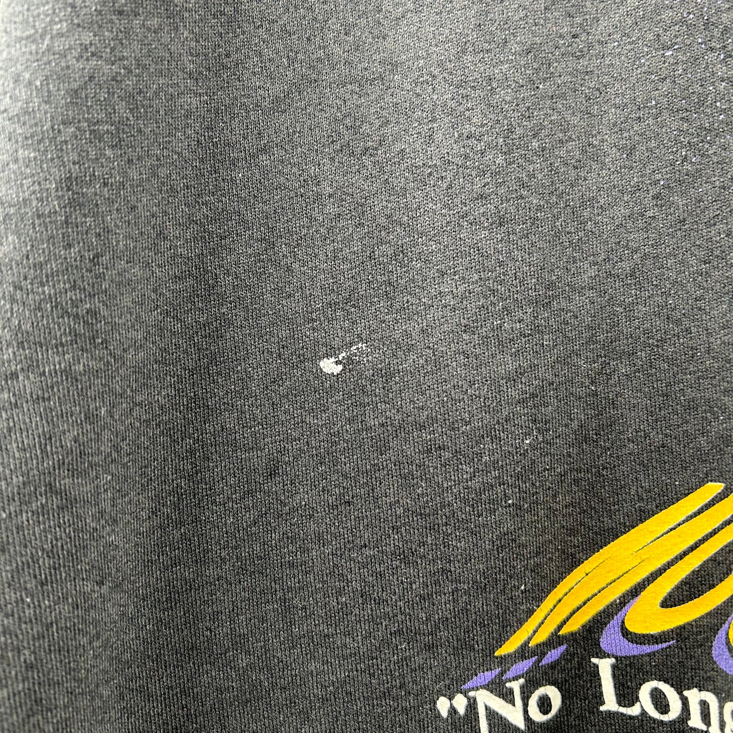 Vintage 90's Mountaineers "No Longer In Anyone's Shadow" Crewneck (XL)