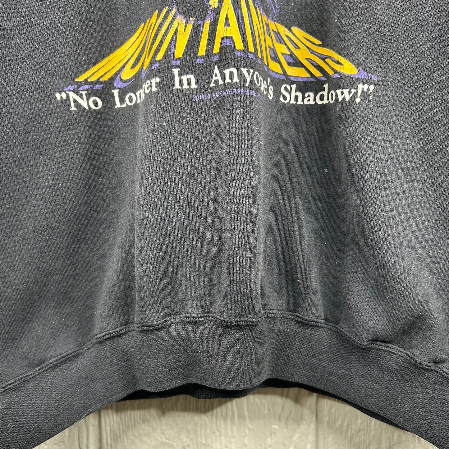 Vintage 90's Mountaineers "No Longer In Anyone's Shadow" Crewneck (XL)