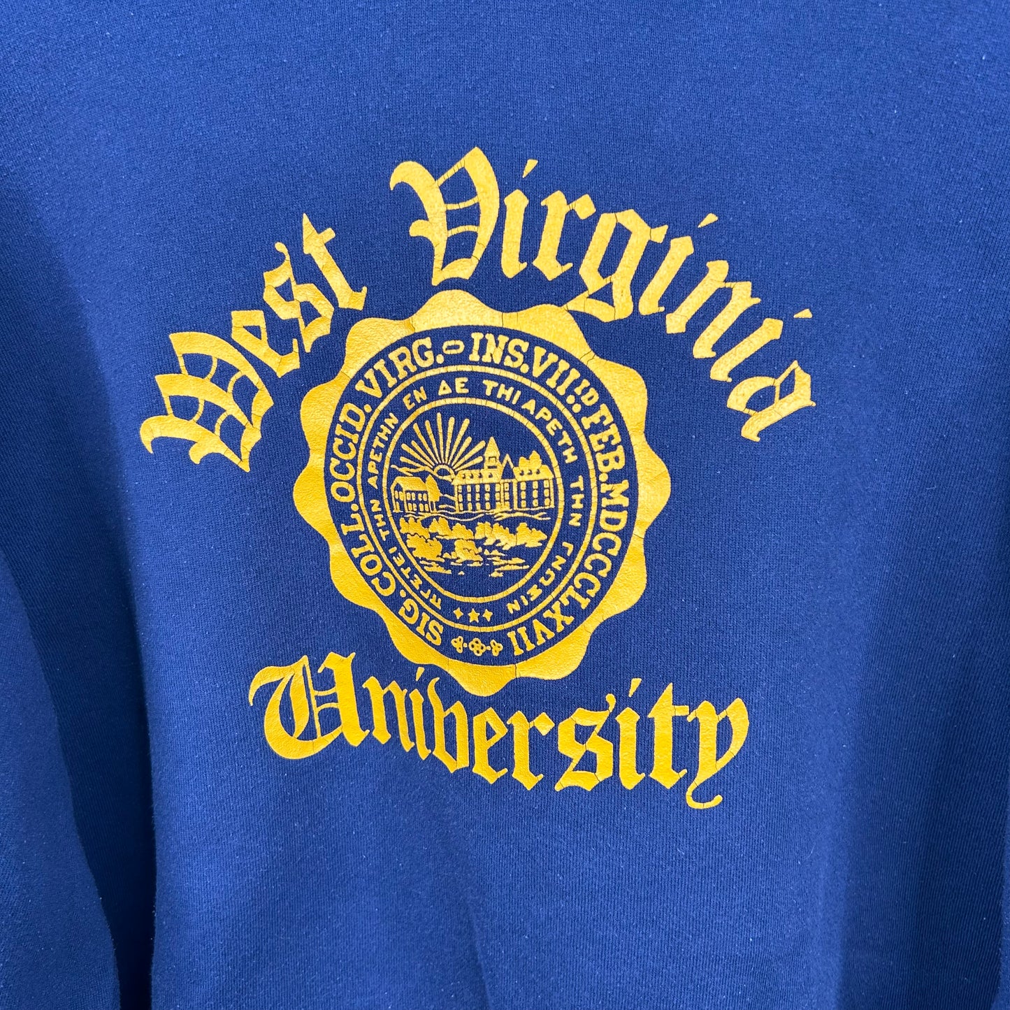 Vintage 80s West Virginia University Heavy Weight Hoodie (L)