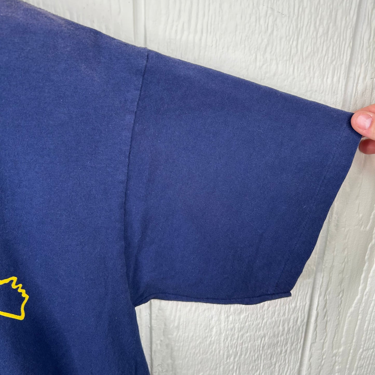 Vintage 90s West Virginia State Outline Tee (L)