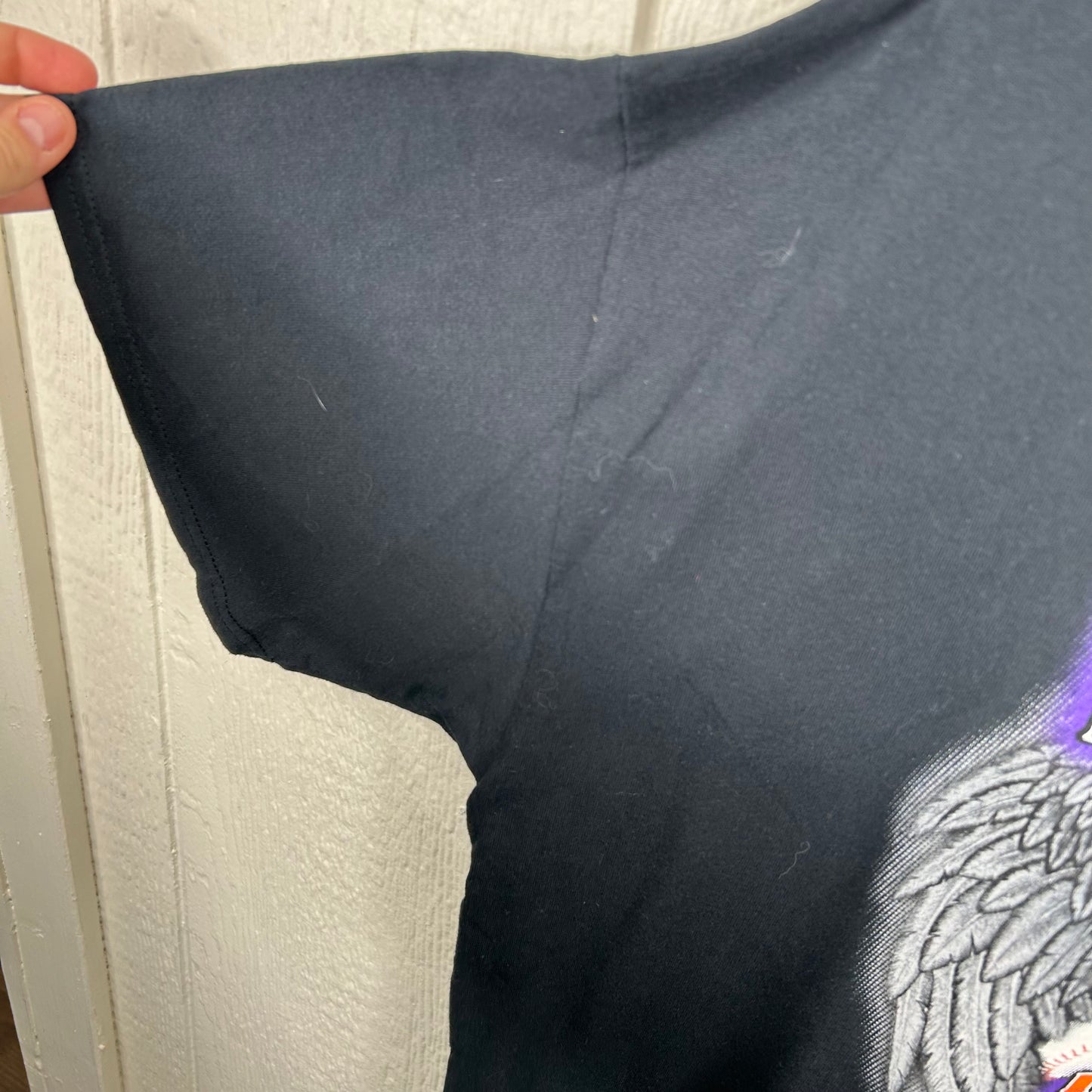 Y2K Baltimore Ravens x Orioles Birds Graphic Tee (XXL)