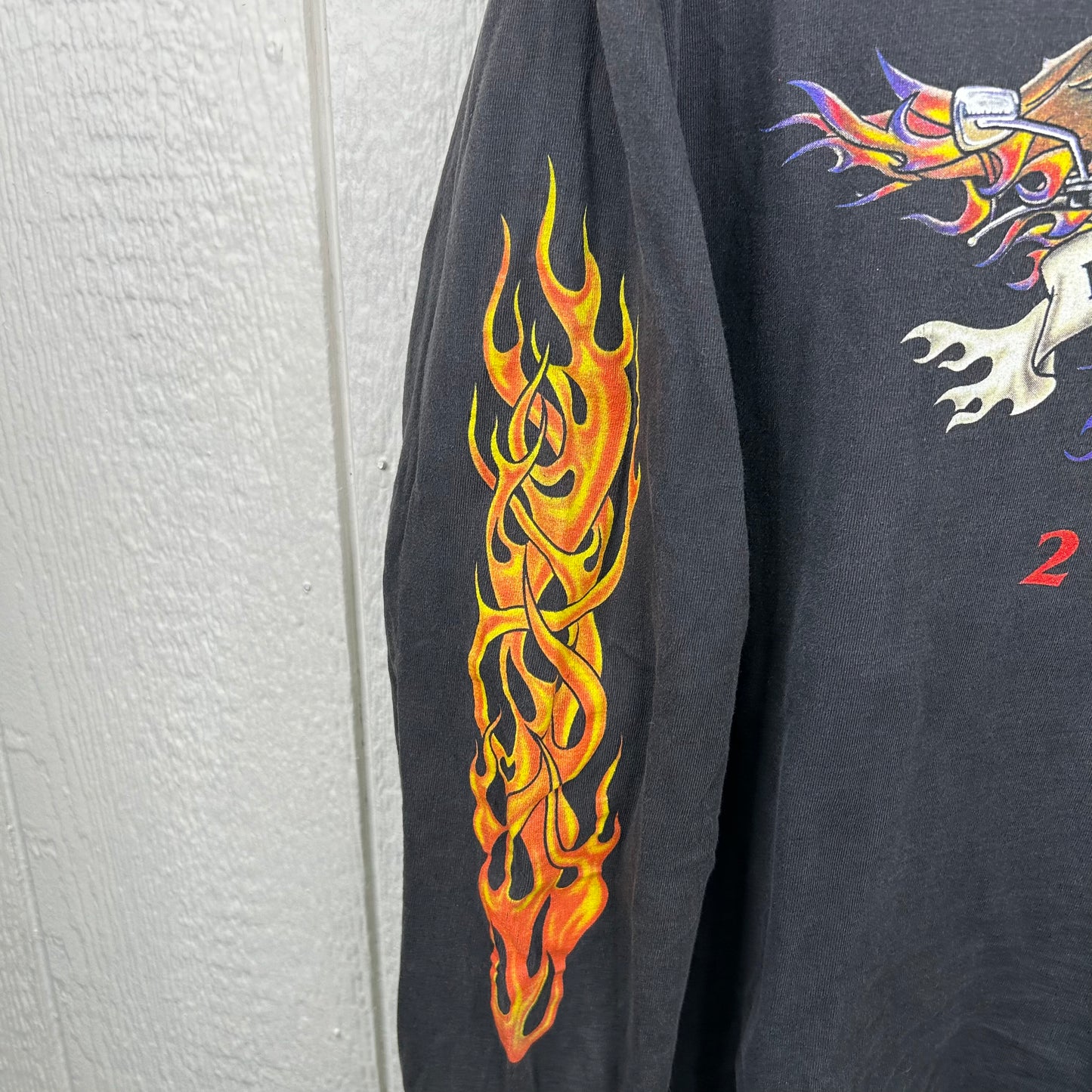 Y2K Sturgis Black Hills Rally Flames Long Sleeve Tee (XL)