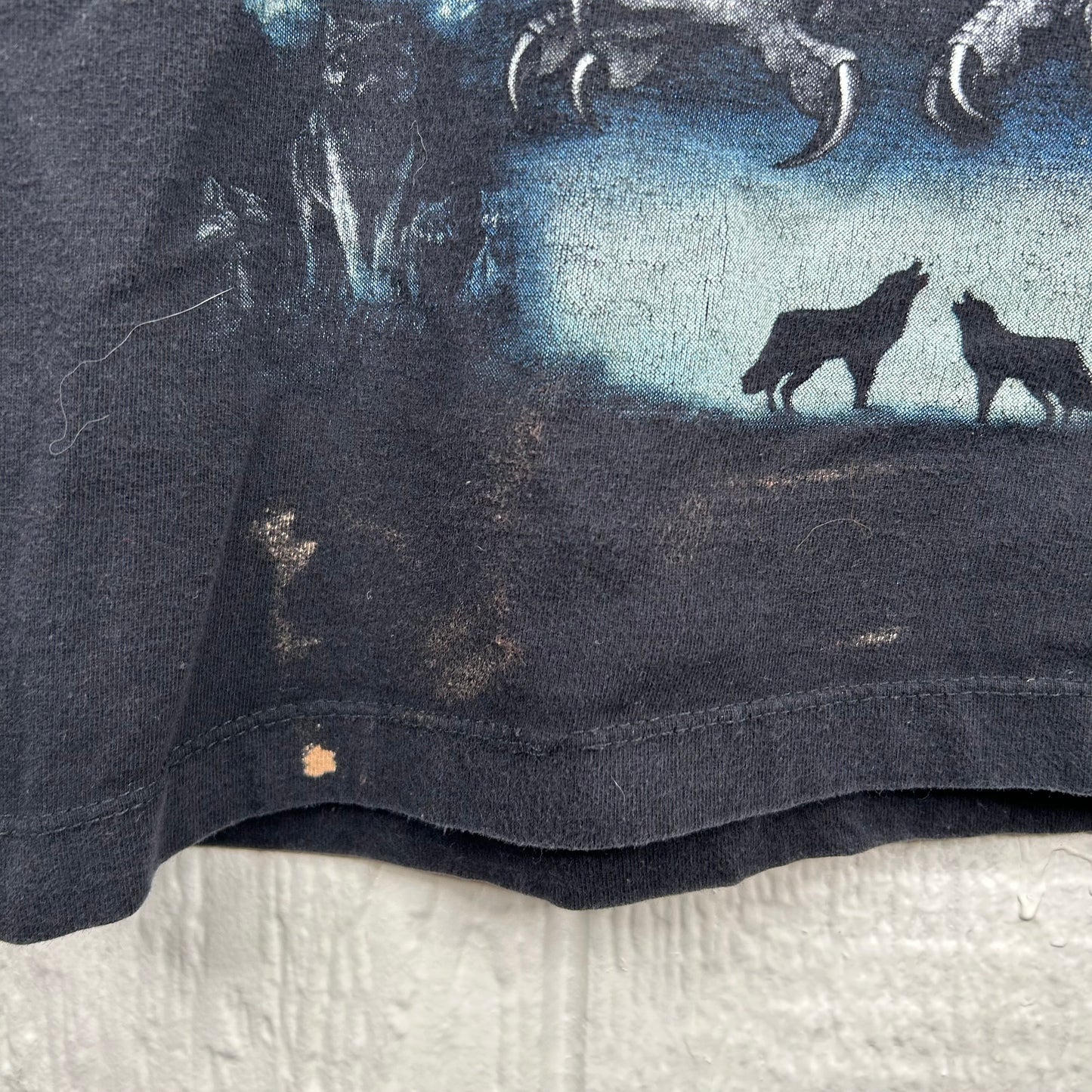 Y2K Western Nature Double Sided Graphic Tee (M)