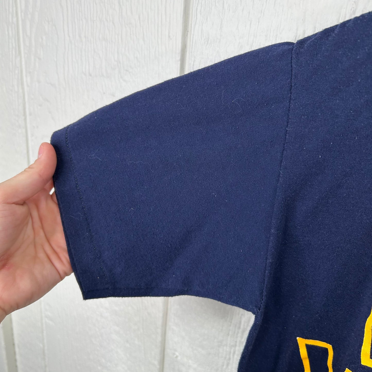 Vintage 80's West Virginia Graphic Print Tee (M)