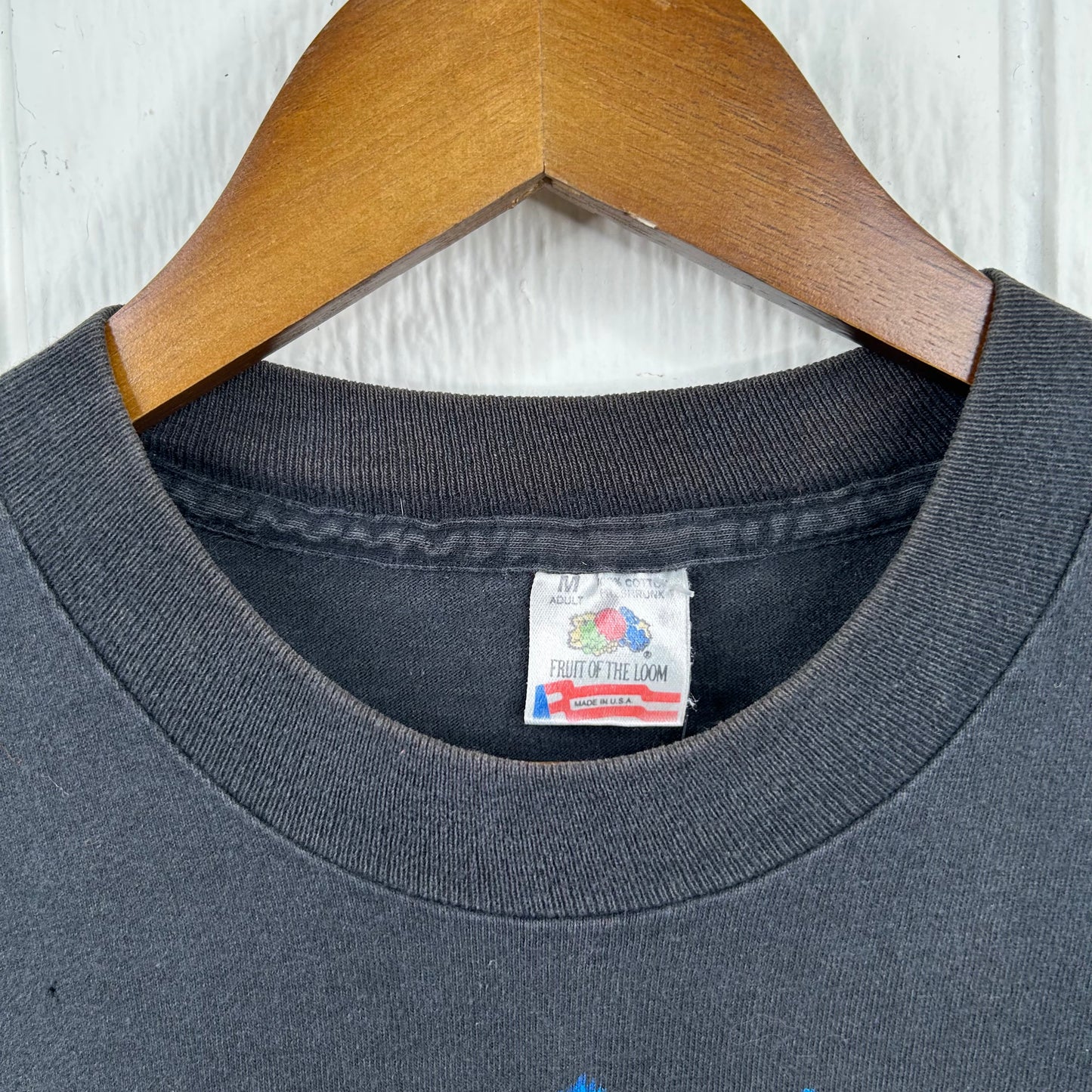 Vintage 80's West Virginia Native American Tee (M)