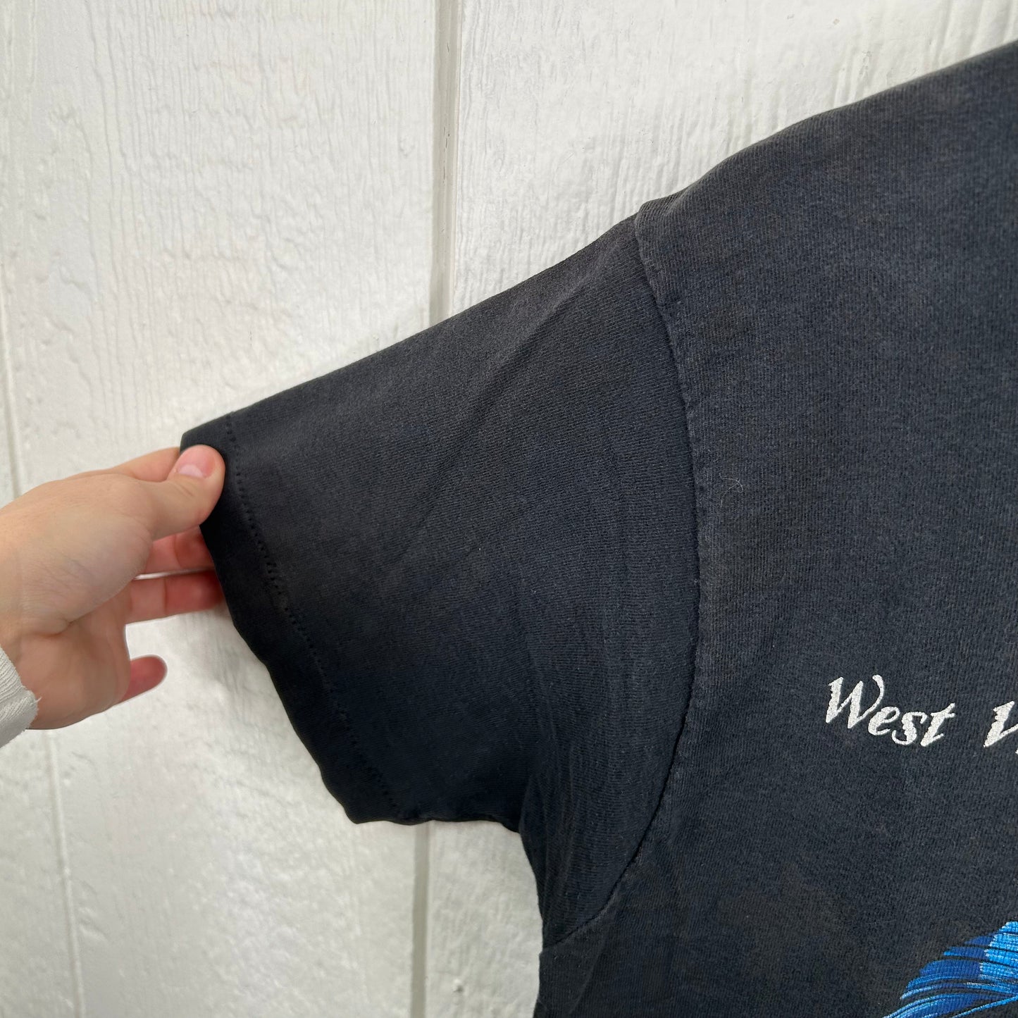 Vintage 80's West Virginia Native American Tee (M)