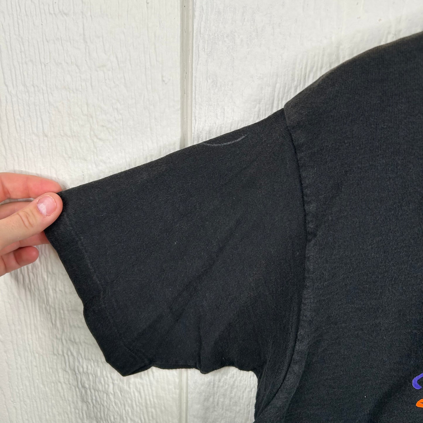 Vintage 90's West Virginia Tamarack Fishing Tee (XL)