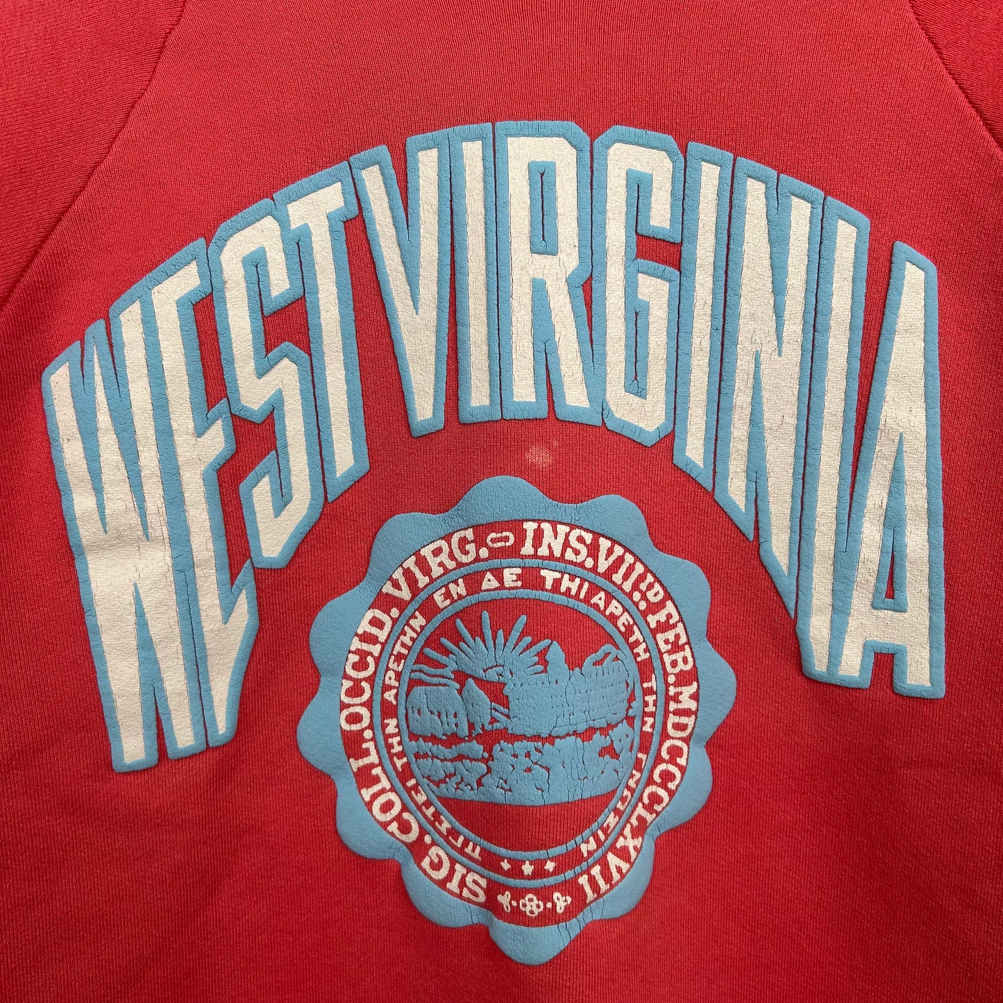 Vintage 90's Bubblegum Pink West Virginia University Seal Crewneck (L)