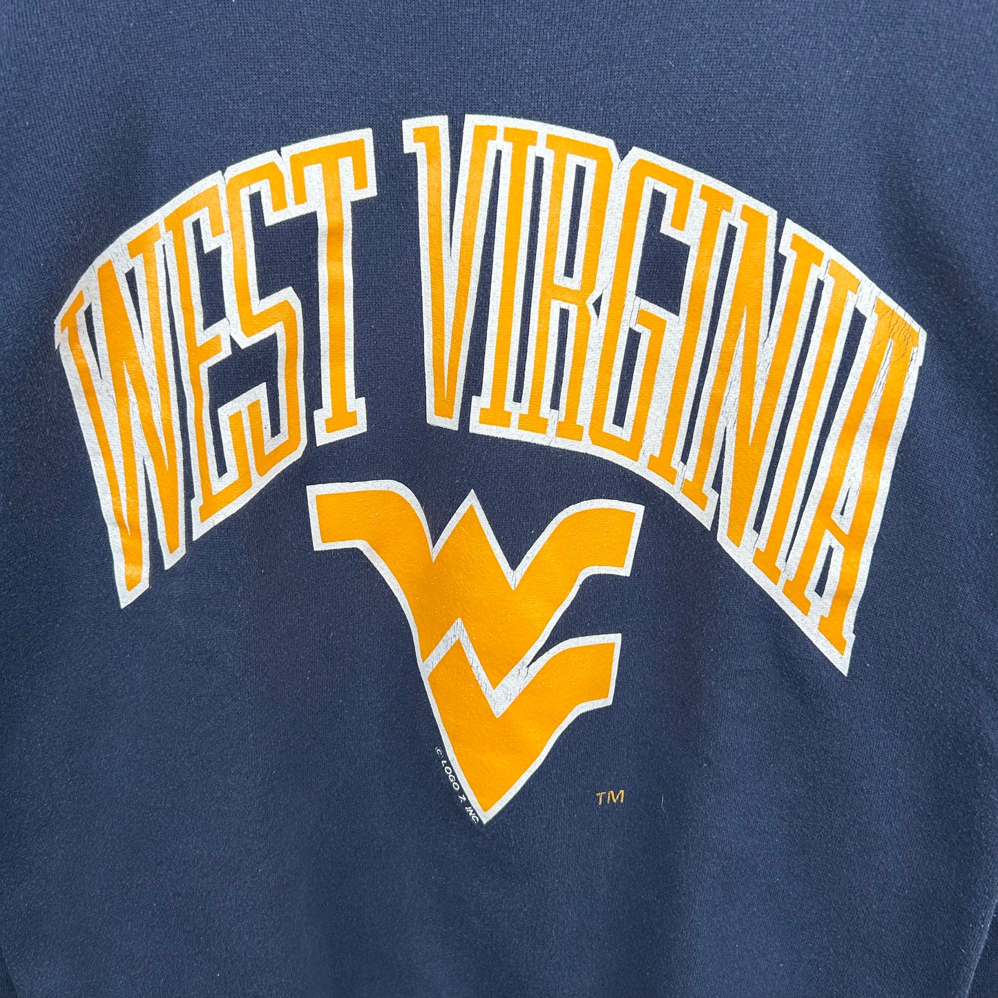 Vintage 90's Flying West Virginia Graphic Crewneck (L)
