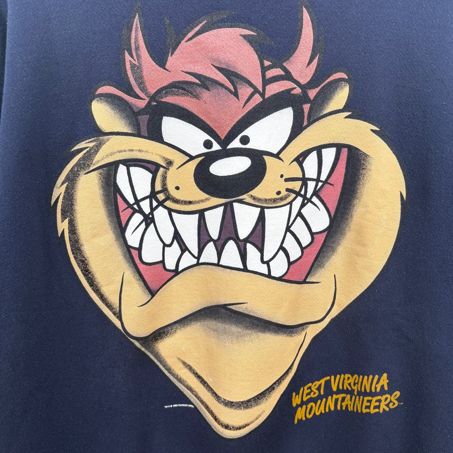 Vintage 90's Taz x WVU Navy Crewneck (XL)