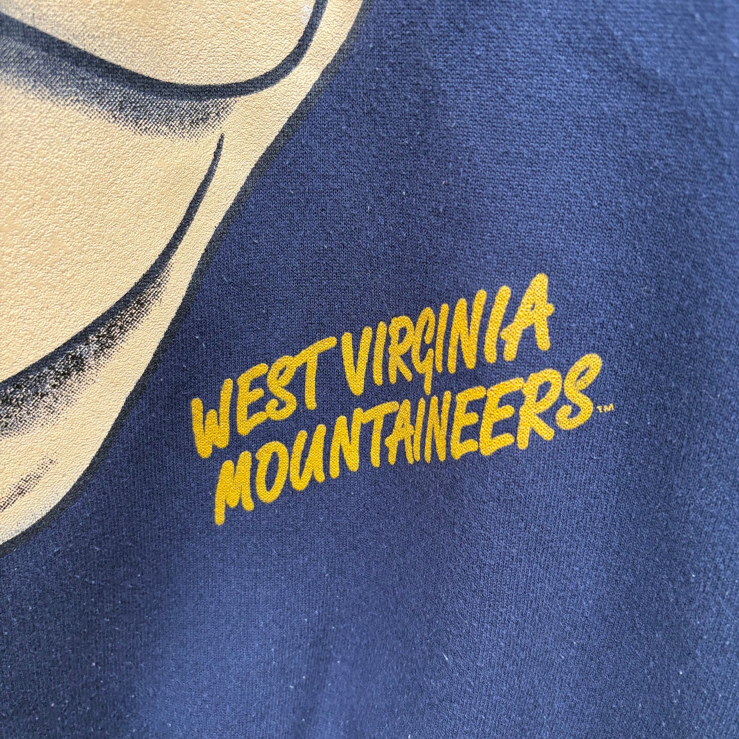 Vintage 90's Taz x WVU Navy Crewneck (XL)