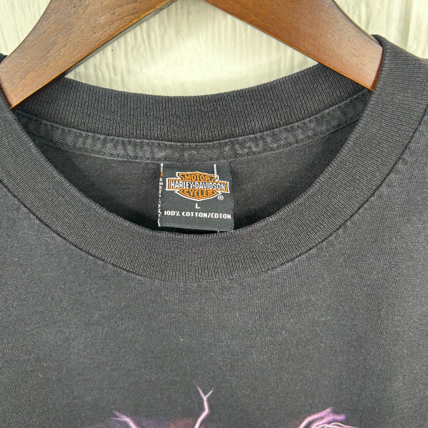Y2K Harley Davidson Guardians of the Legend Double-Sided Graphic Tee (L)