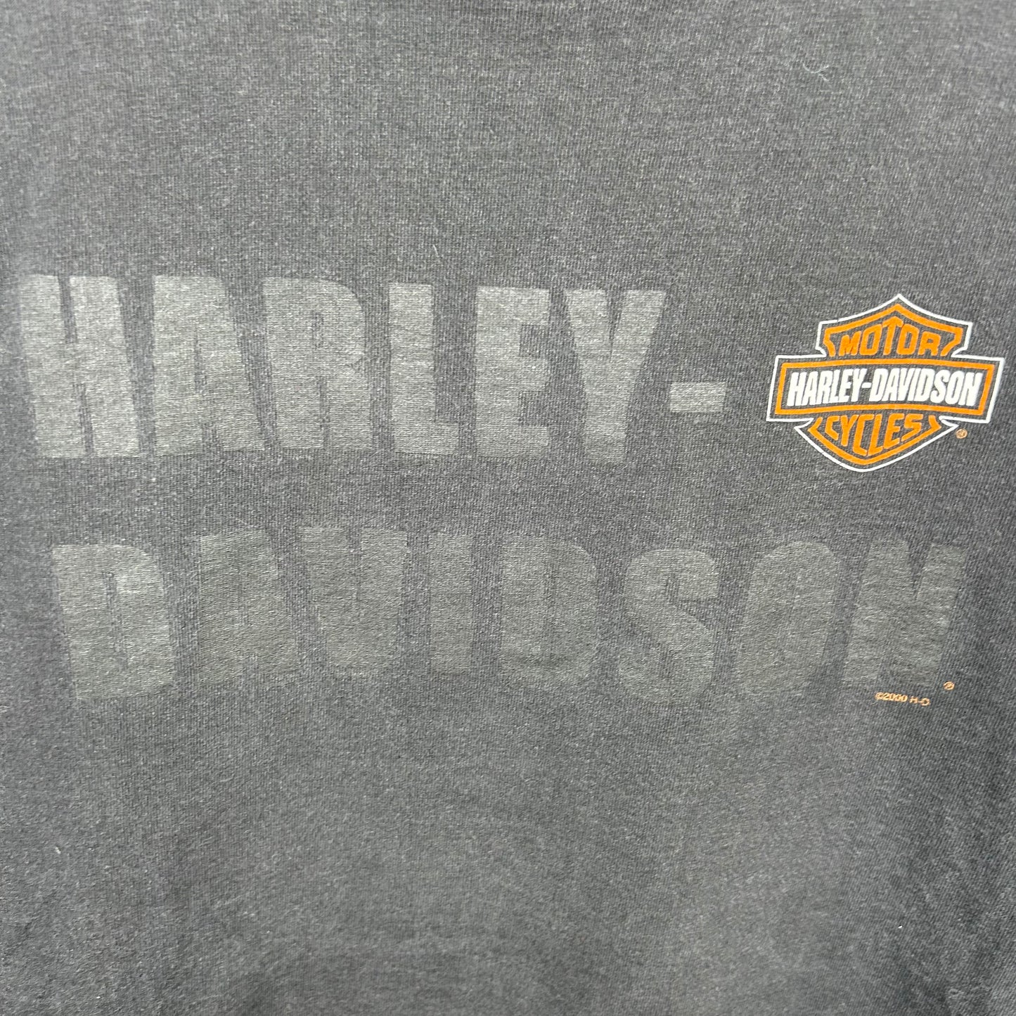 Y2K Beartooth Harley Davidson Red Lodge Montana Graphic Tee (XL)
