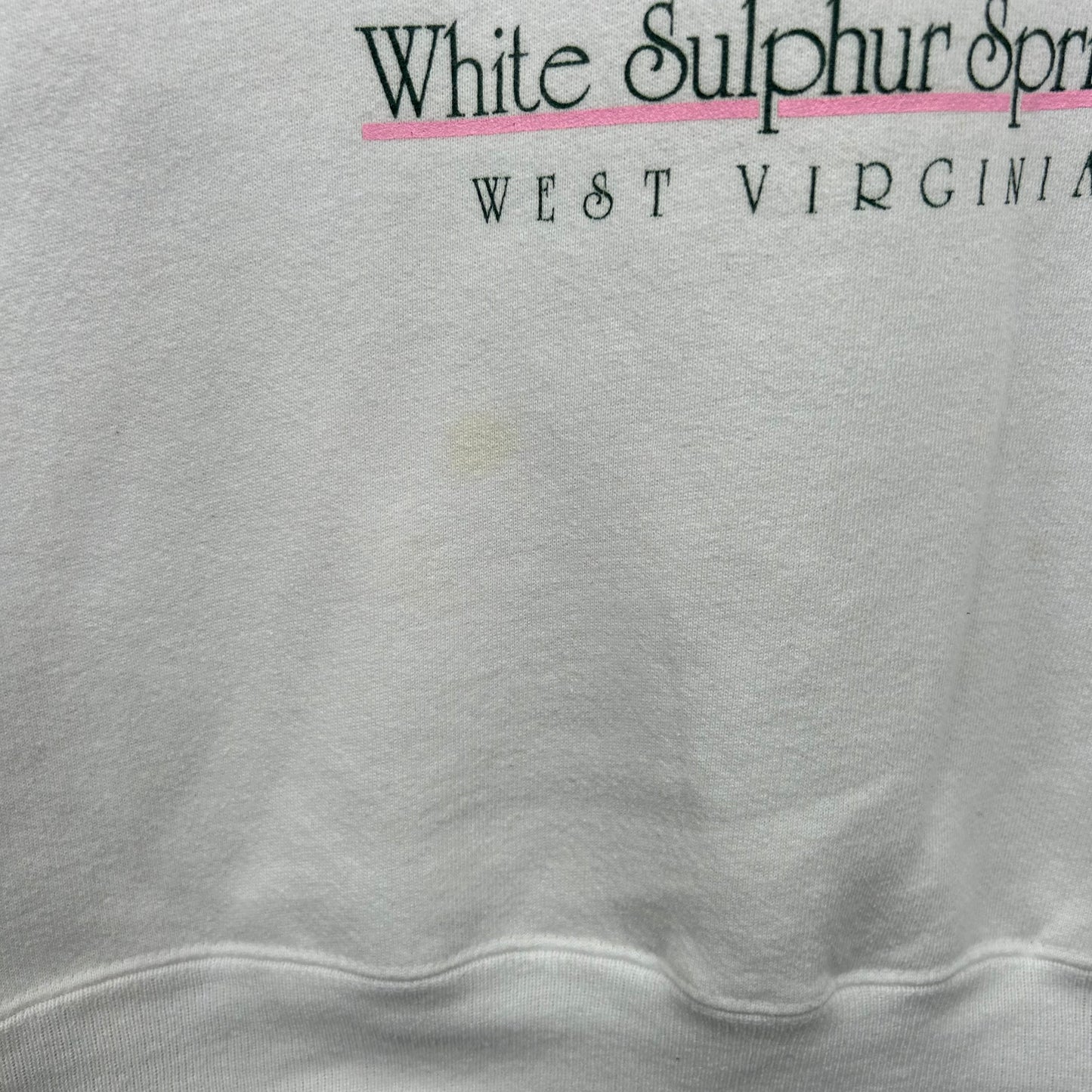 Vintage 90's 'The Greenbrier' West Virginia Crewneck (L)