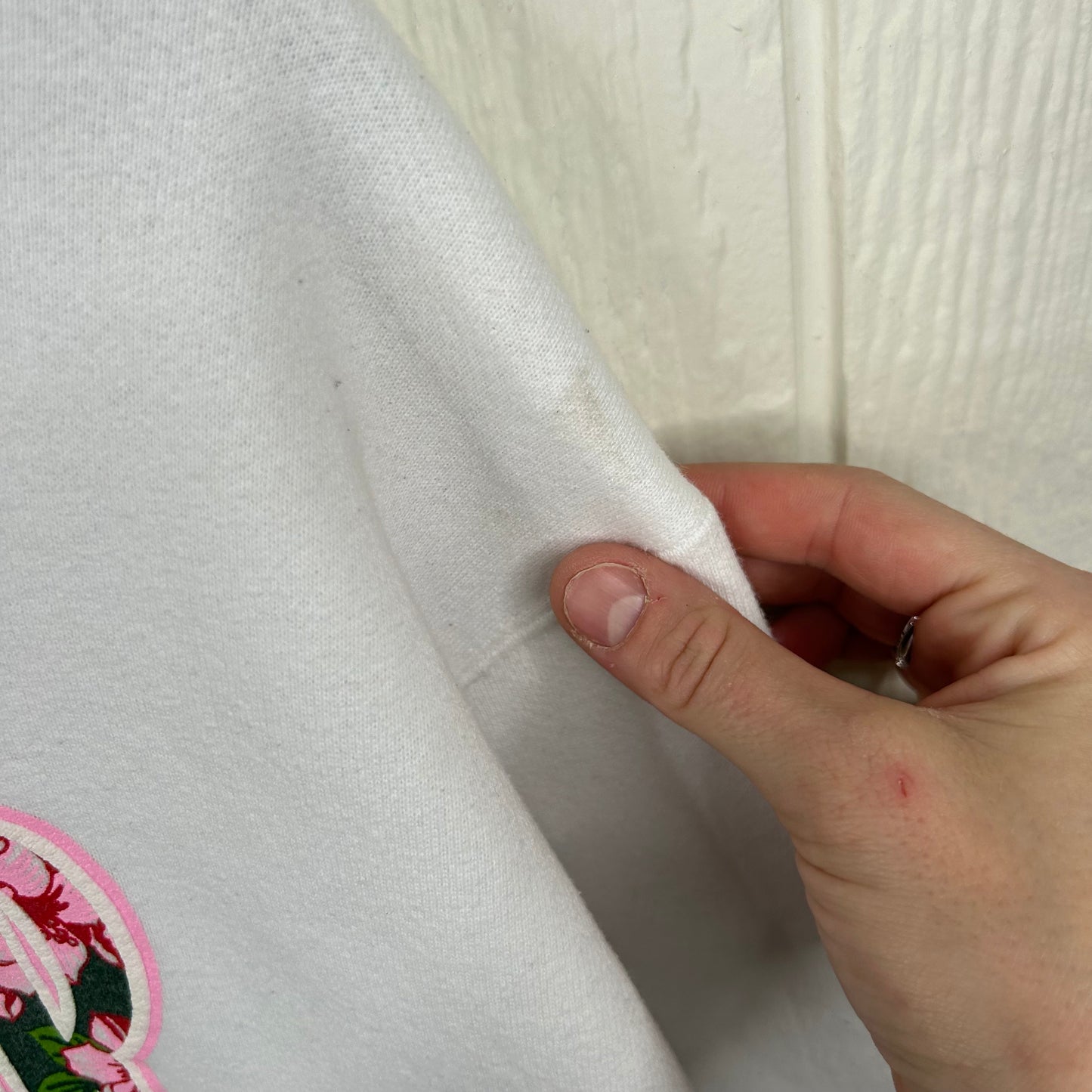 Vintage 90's 'The Greenbrier' West Virginia Crewneck (L)