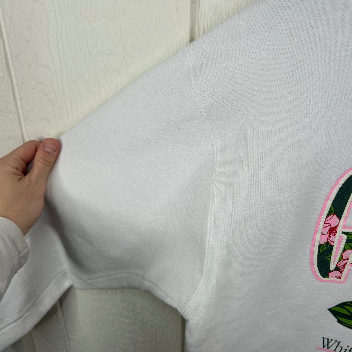 Vintage 90's 'The Greenbrier' West Virginia Crewneck (L)