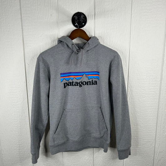 Patagonia Hoodie (S)