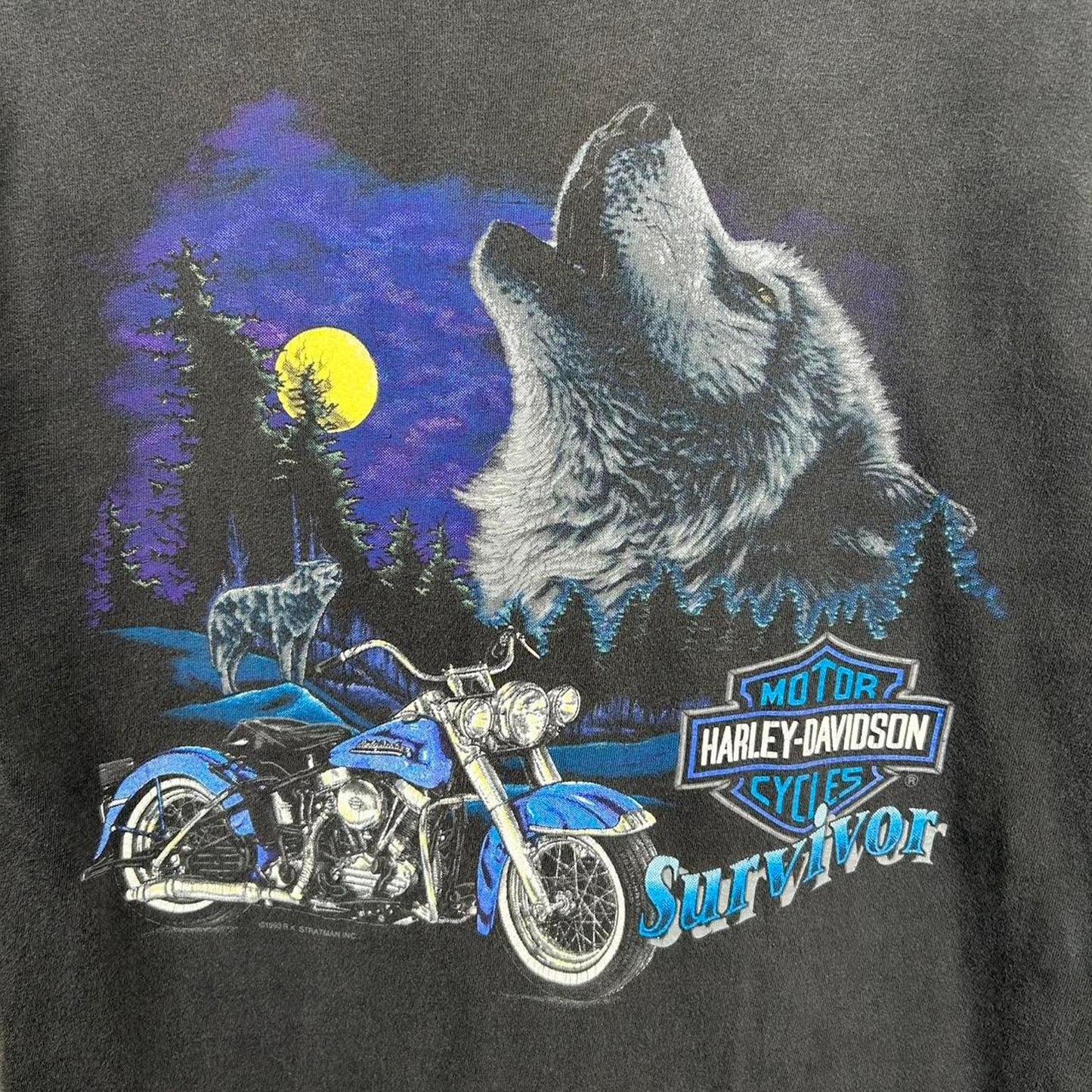 Vintage 90’s Harley Davidson Wolf Nature Graphic Tee (L)