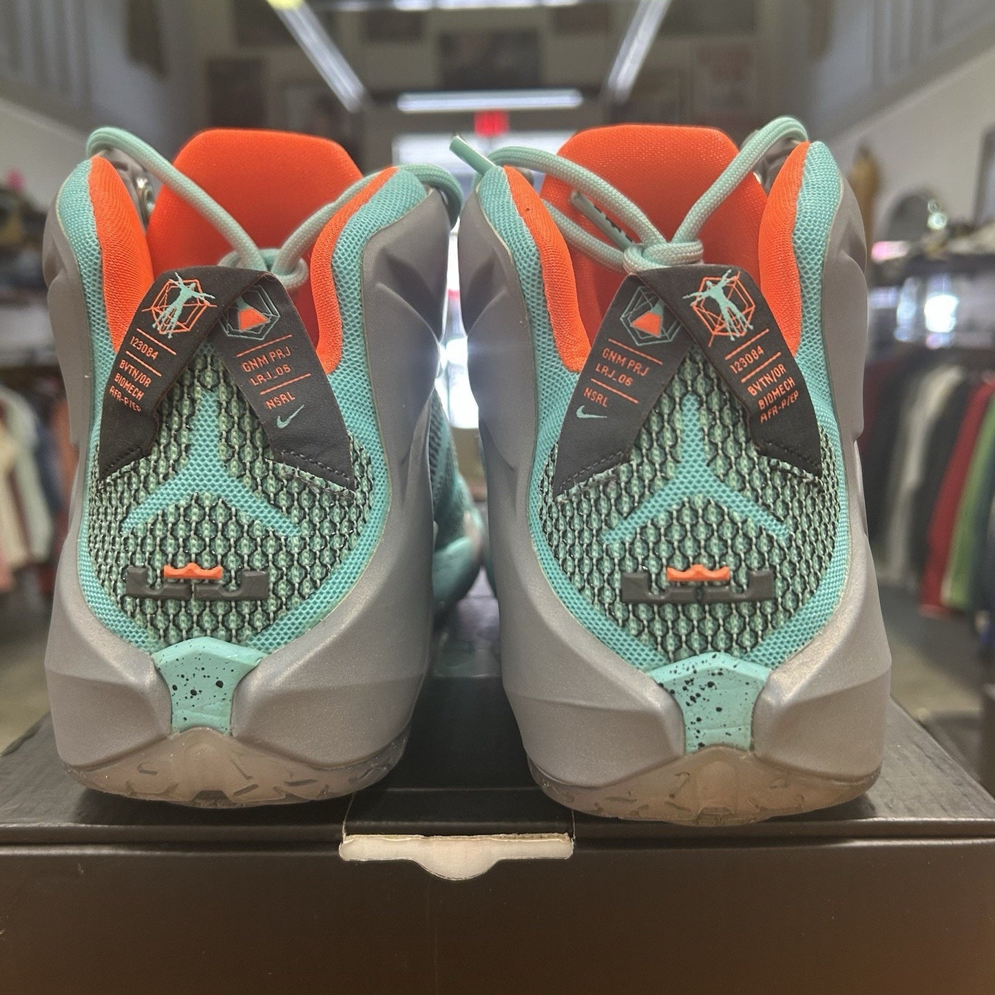 Size 10.5 - LeBron 12 NSRL