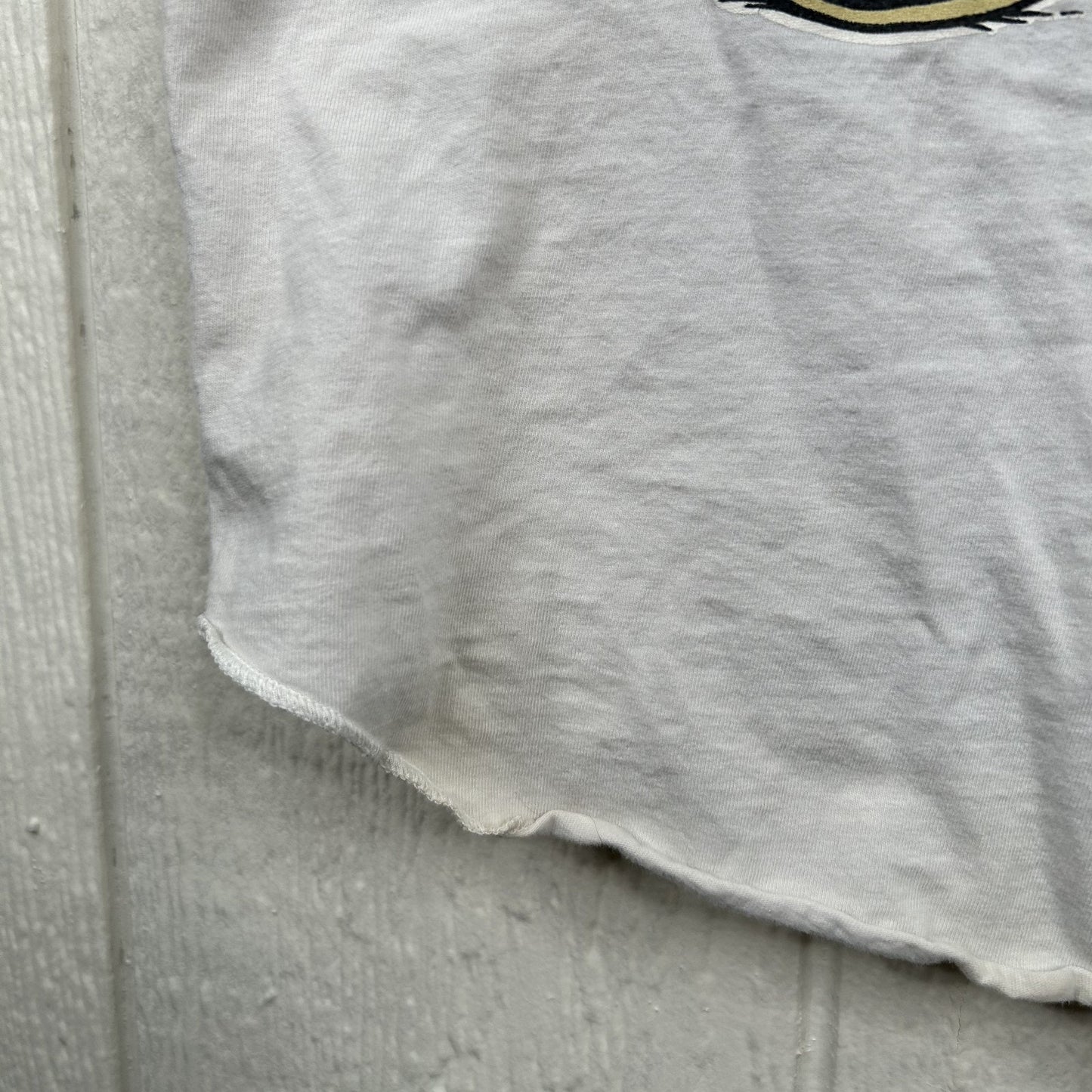 Vintage 1994 Bugs Bunny & Taz Button-Up Baseball Style (L)