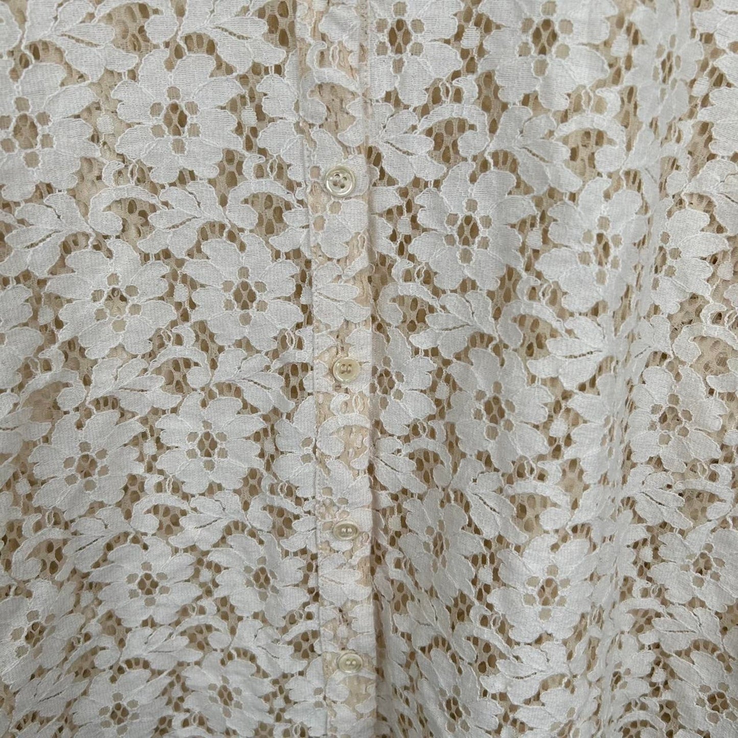 2000s Floral Whimsy Lace Long Sleeve Button Up Blouse (L/XL)